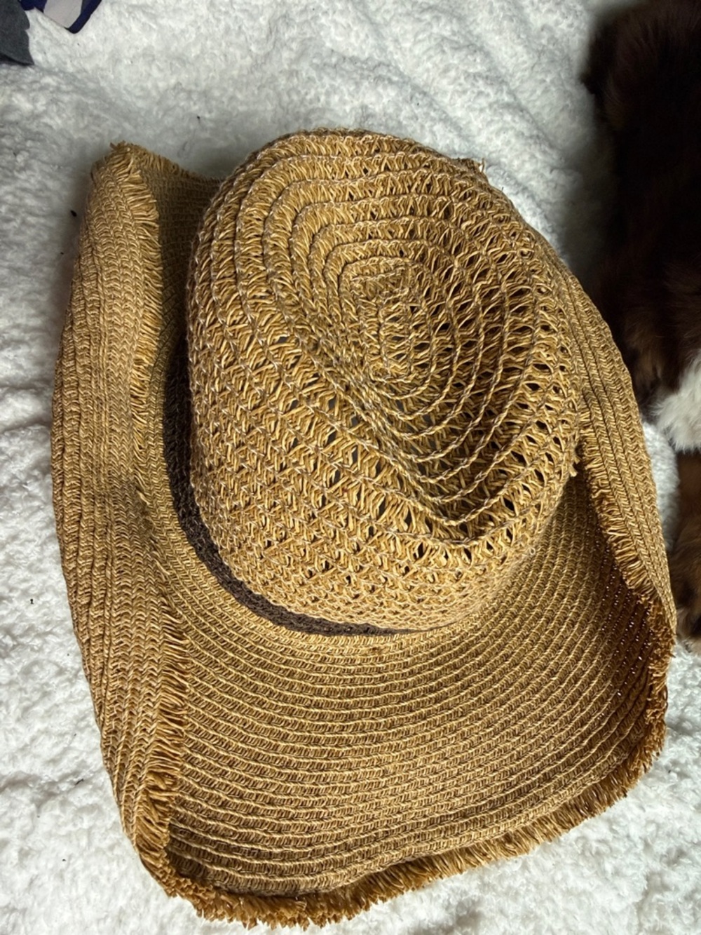 Straw Wide-Brim Sun Hat - Tan